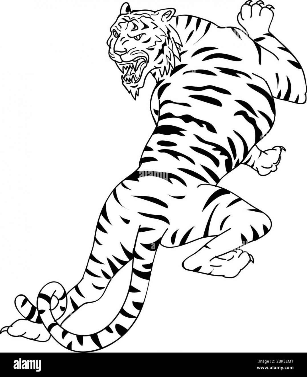 Drawing sketch style illustration of a Bengal tiger going up