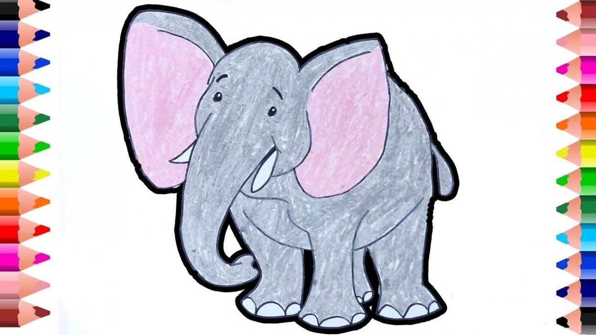 Elephant drawing easy–How to draw and color elephant–Elephant coloring for  kids  Elephant drawing, Easy drawings, Coloring for kids