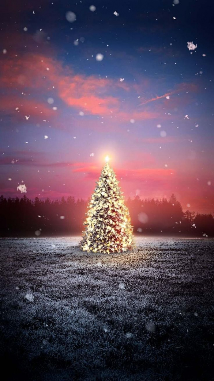 Festive Christmas Tree Snowfall iPhone Wallpaper