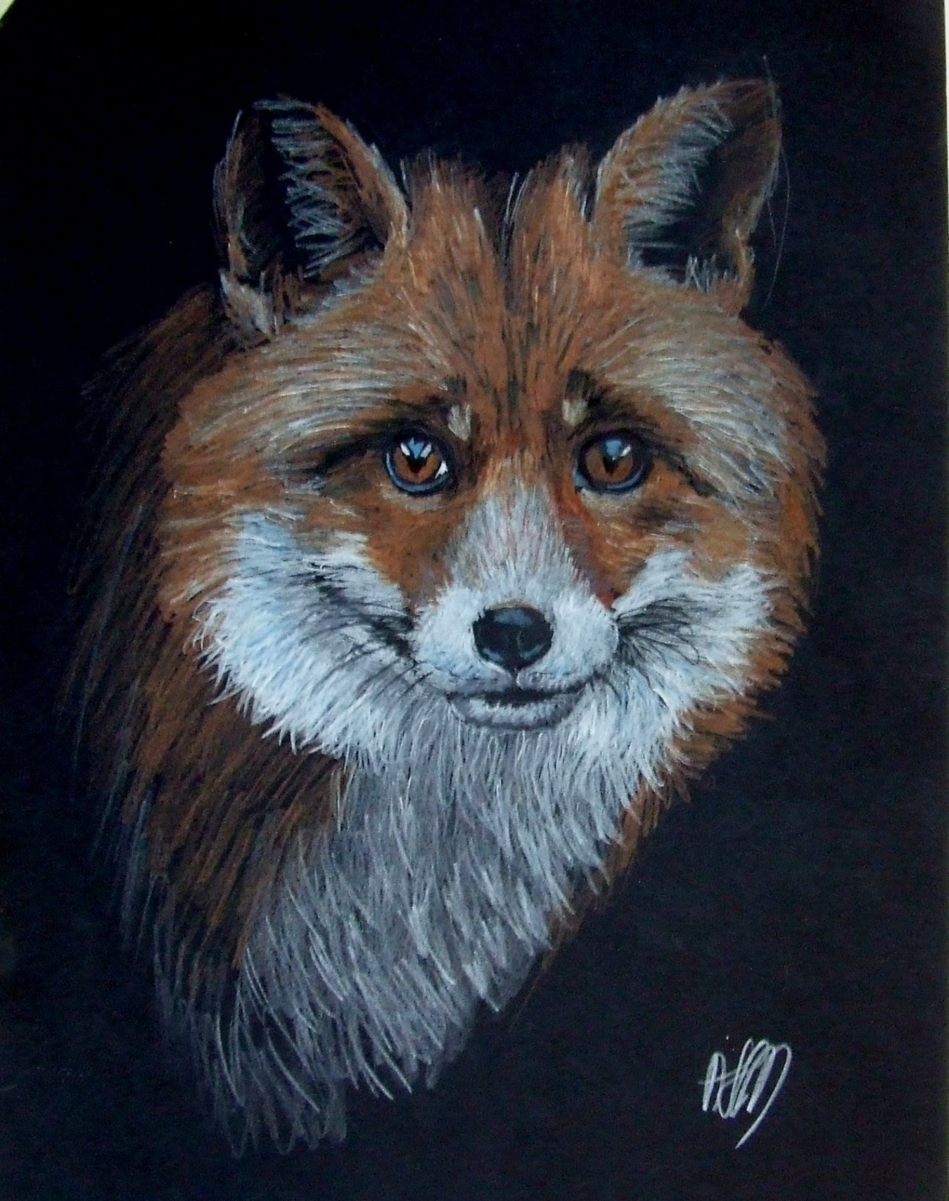 fox, colour pencil on black paper  Black paper drawing, Heron art