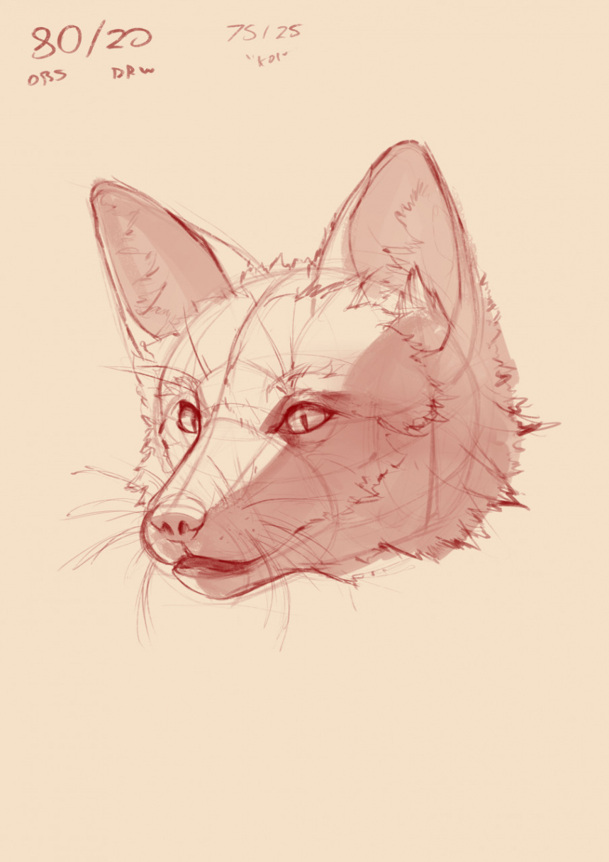 Fox Study Sketch # by SmolSpearrow -- Fur Affinity [dot] net