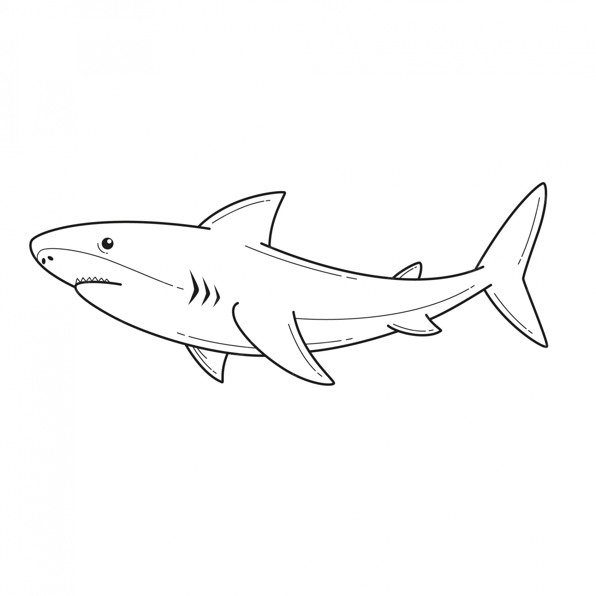 Free Vector  Hand drawn shark outline illustration