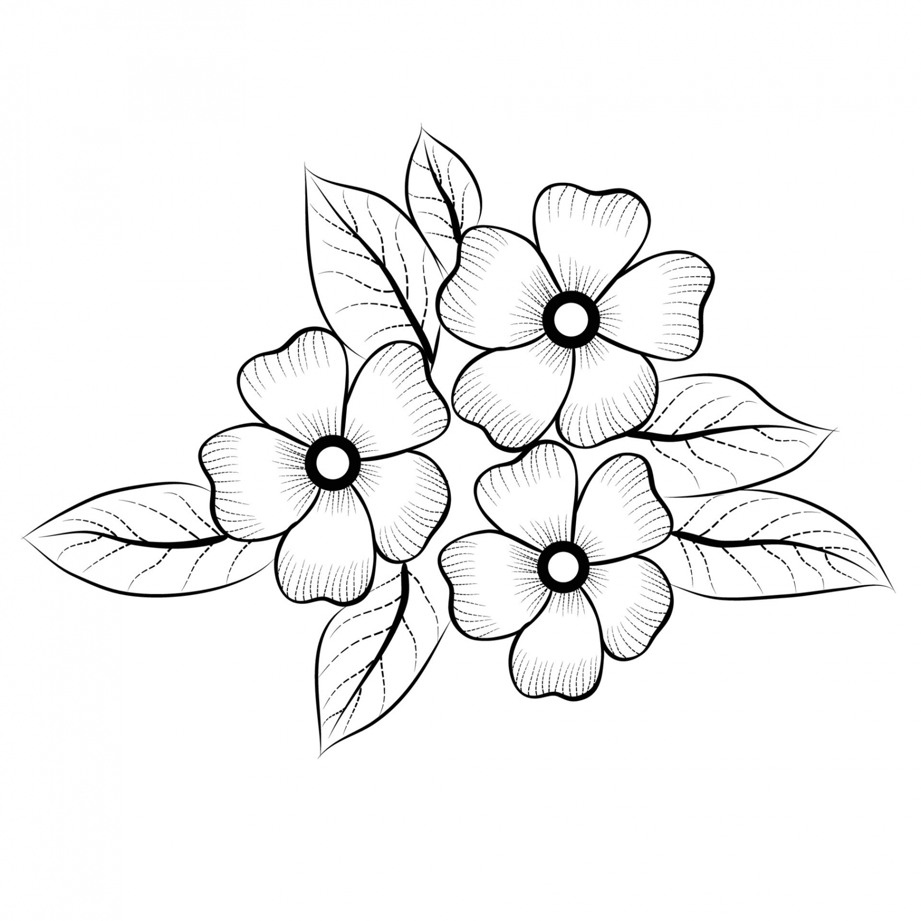 Free Vector line art and hand drawing flower art black and white