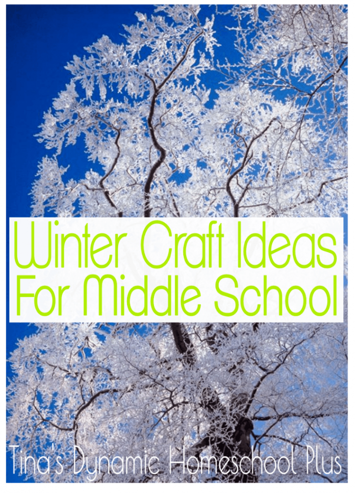 Fun Winter Craft Ideas for Middle School Homeschool  Winter art