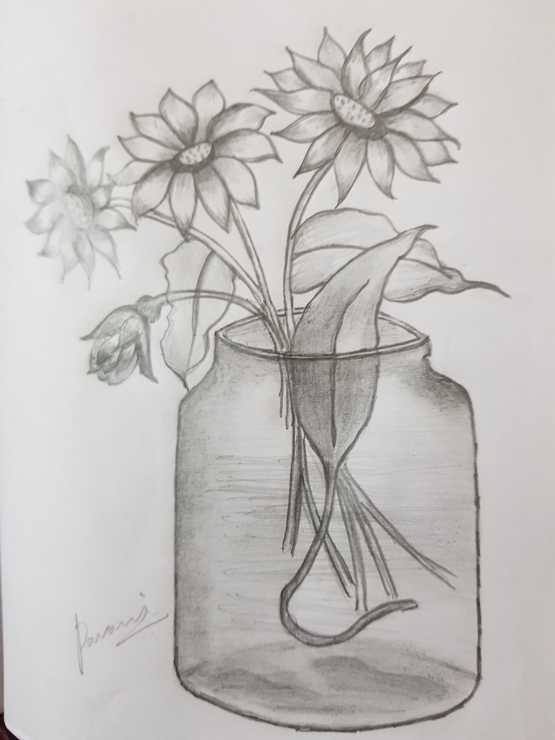 Glass flower vase  Drawings, Art drawings sketches creative