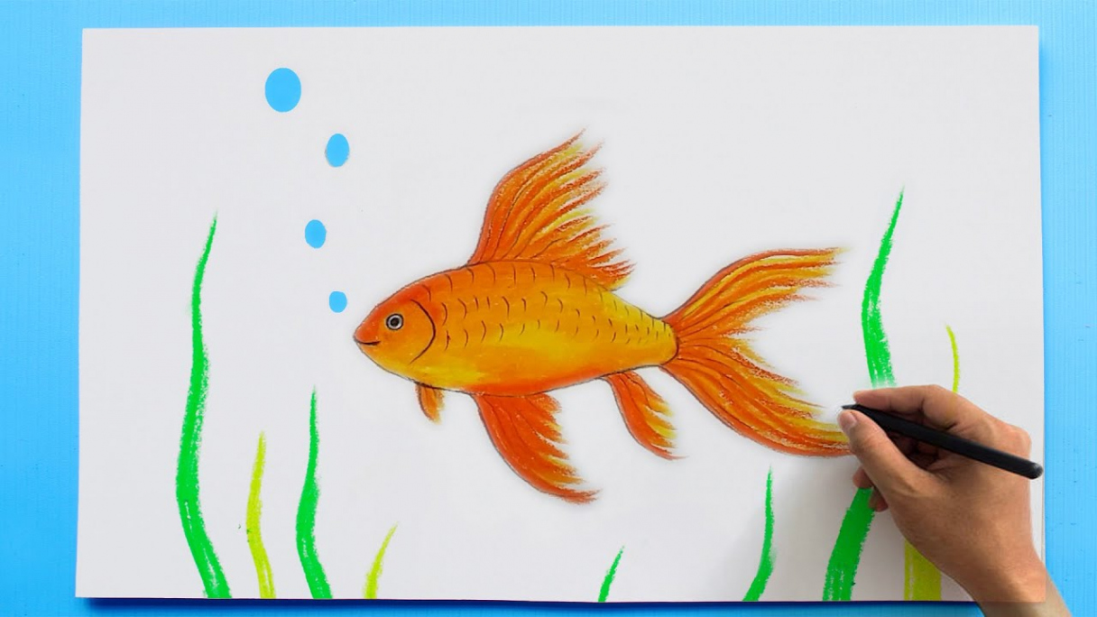 Gold Fish Drawing  How to draw a Gold Fish 🐟