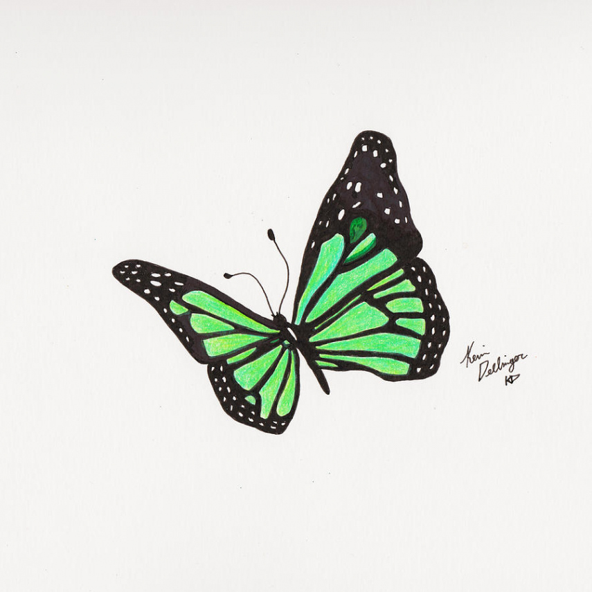 Green Butterfly by Kevin Dellinger