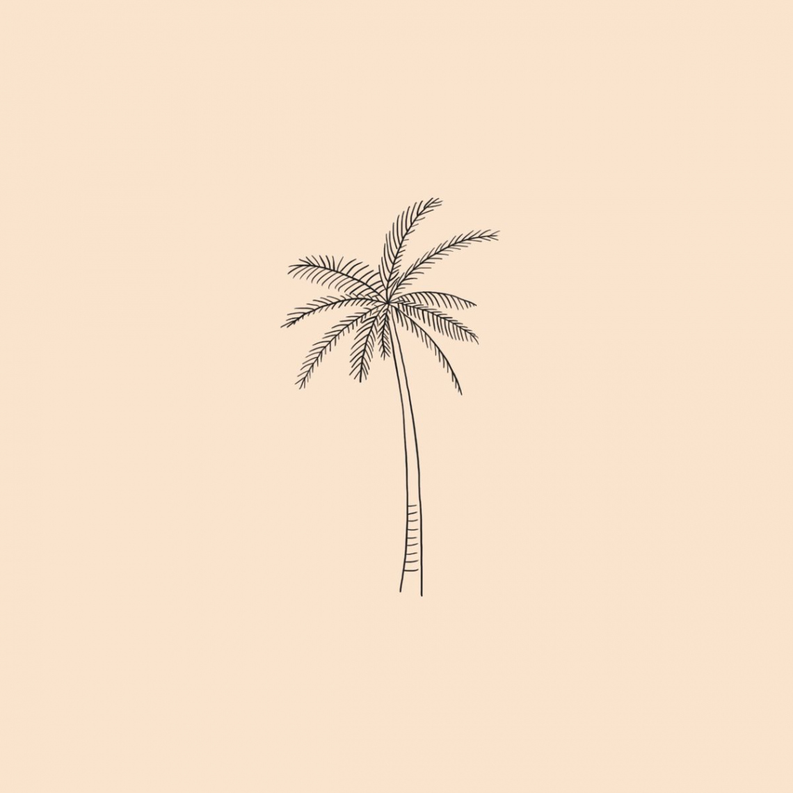 Hand drawn palm tree icon/ brand mark  Palm tattoos, Tree tattoo