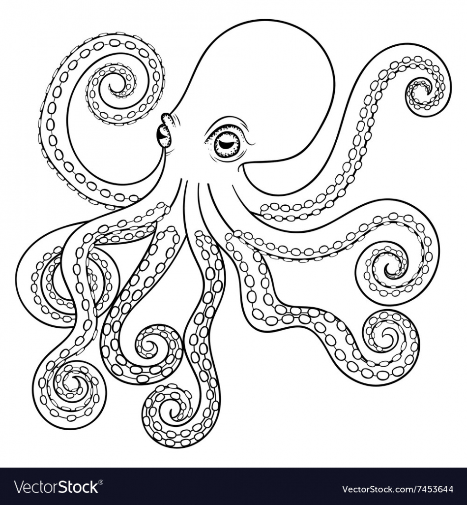 Hand drawn tribal octopus animal totem for adult Vector Image