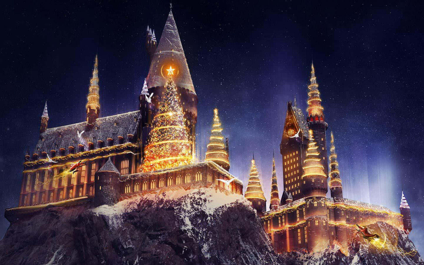 +] Harry Potter Christmas Wallpapers  Wallpapers