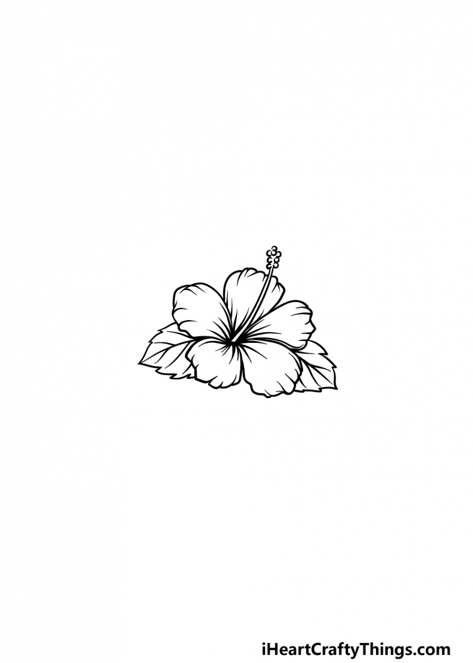 Hawaiian Flower Drawing - How To Draw A Hawaiian Flower Step By Step