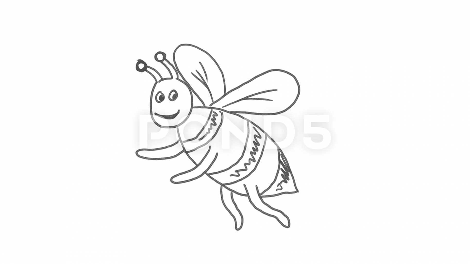 Honey Bee Flying Drawing D Animation