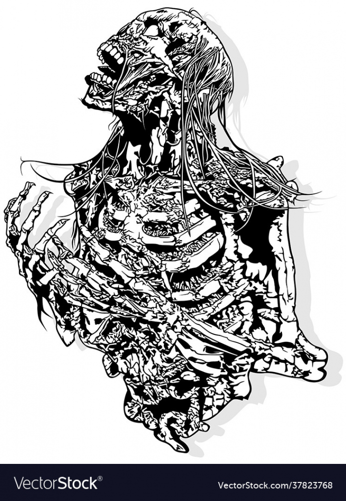 Horror skeleton drawing Royalty Free Vector Image