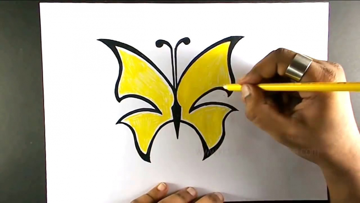 How to Draw a butterfly  Yellow beauty  Easy Step by Step Drawing for Kids