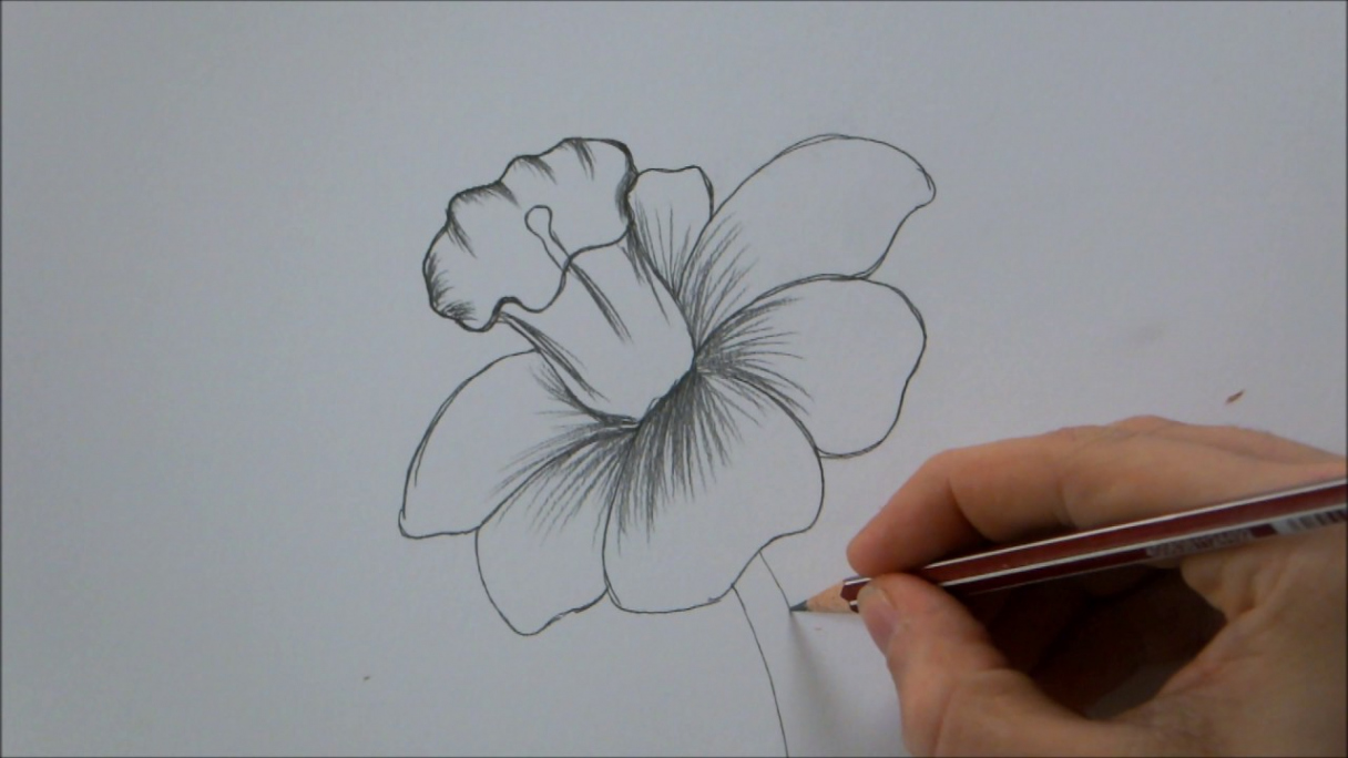 How To Draw a Flower step by step In  Minutes!