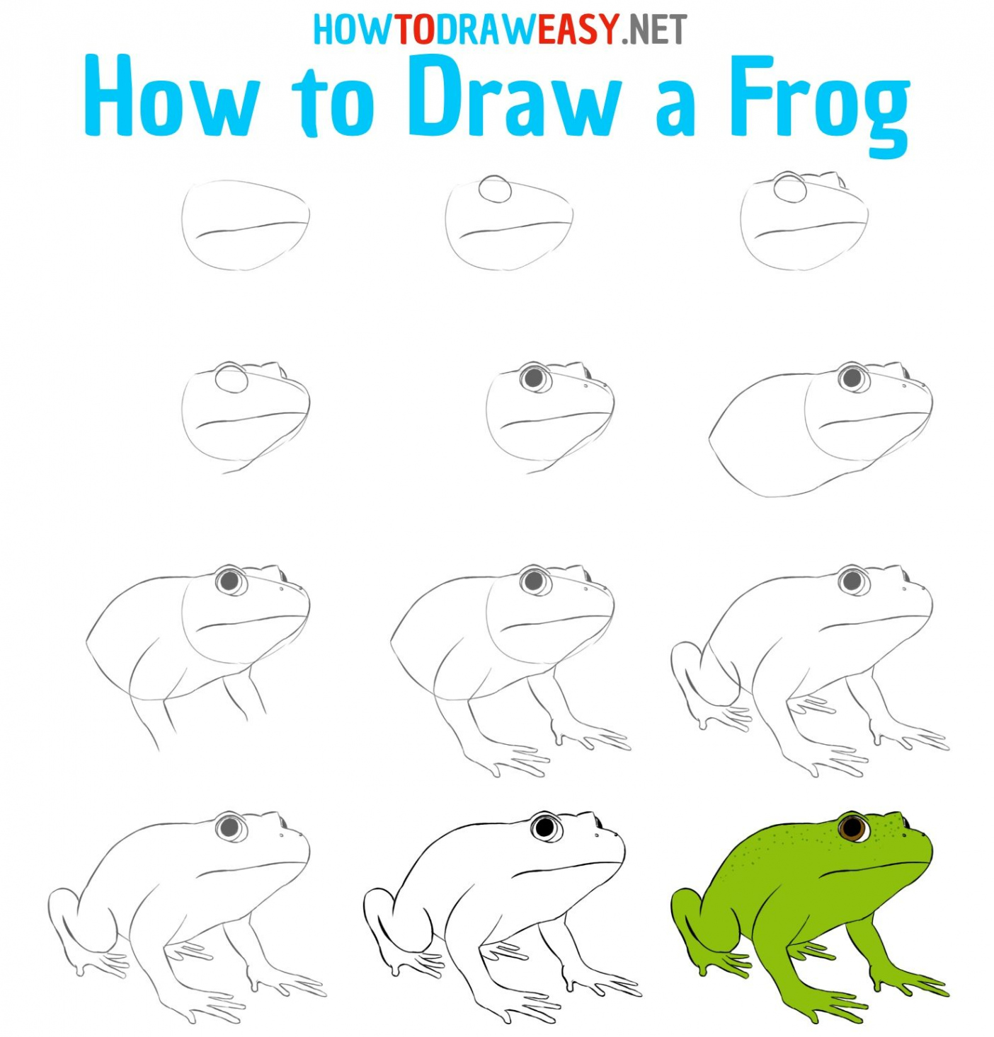 How to Draw a Frog Step by Step  Frog drawing, Cute easy drawings