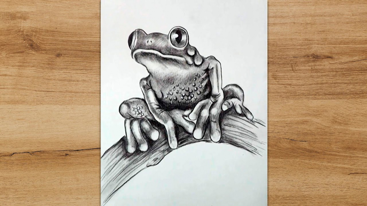 How to Draw a Frog Step by Step  Realistic Frog Drawing Tutorial