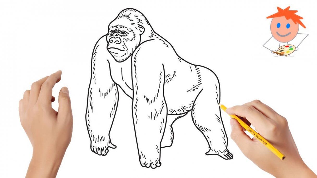 How to draw a gorilla  Easy drawings