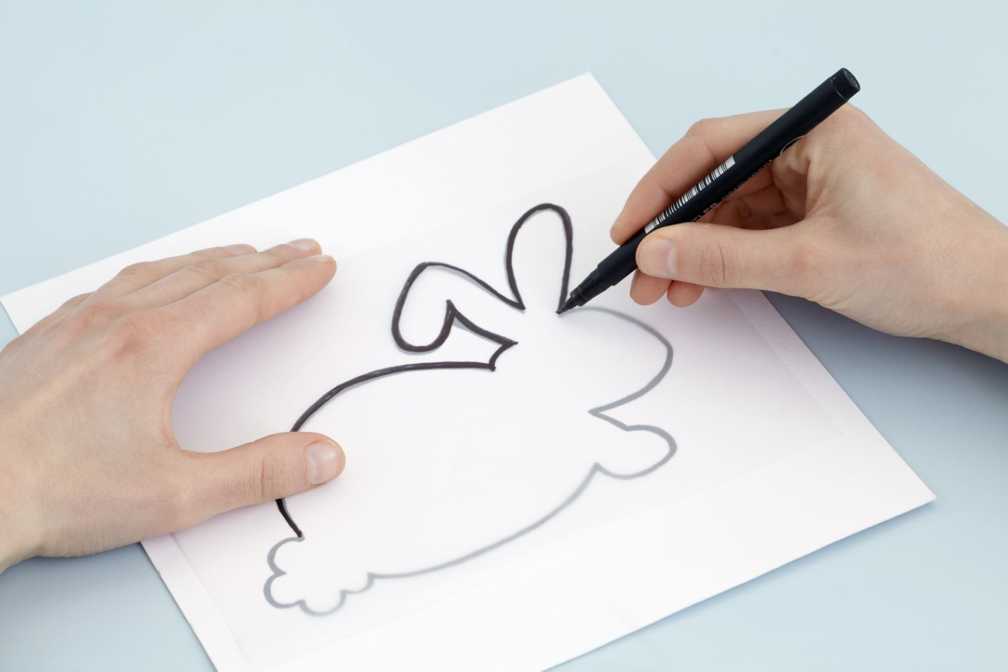 How to Draw a Realistic Bunny Rabbit