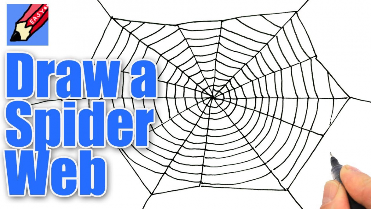 How to draw a Spider