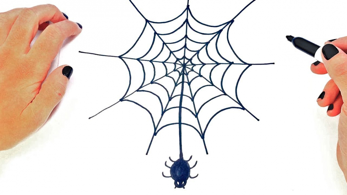 How to draw a Spider Web Step by Step  Easy drawings