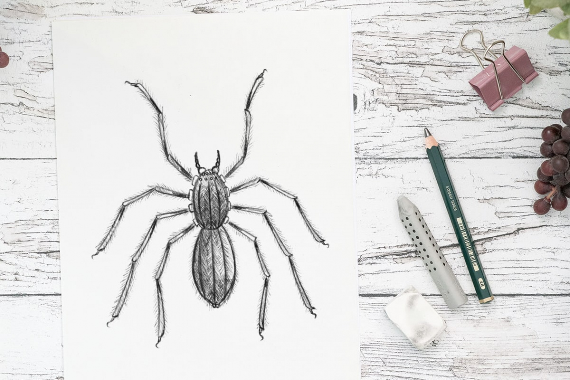 How to Draw a Spider (with amazing details) 🕷️