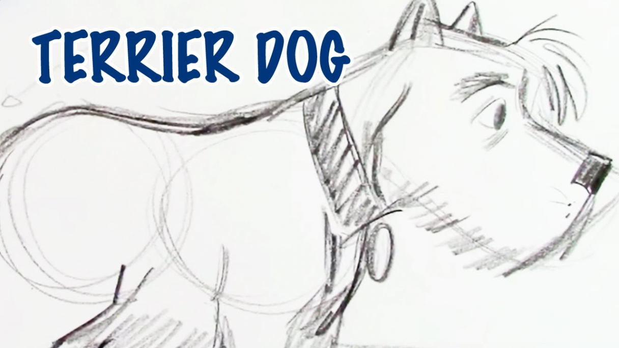 How To Draw a Terrier Dog (Step by Step)