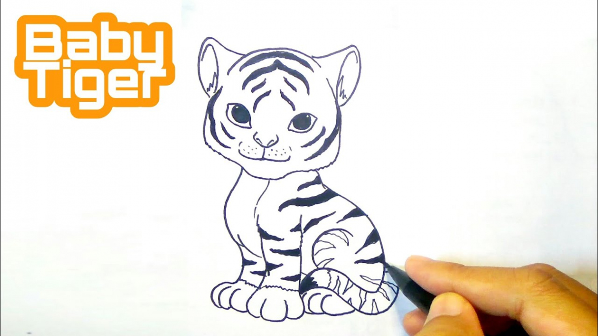 How to draw a tiger easy  baby tiger