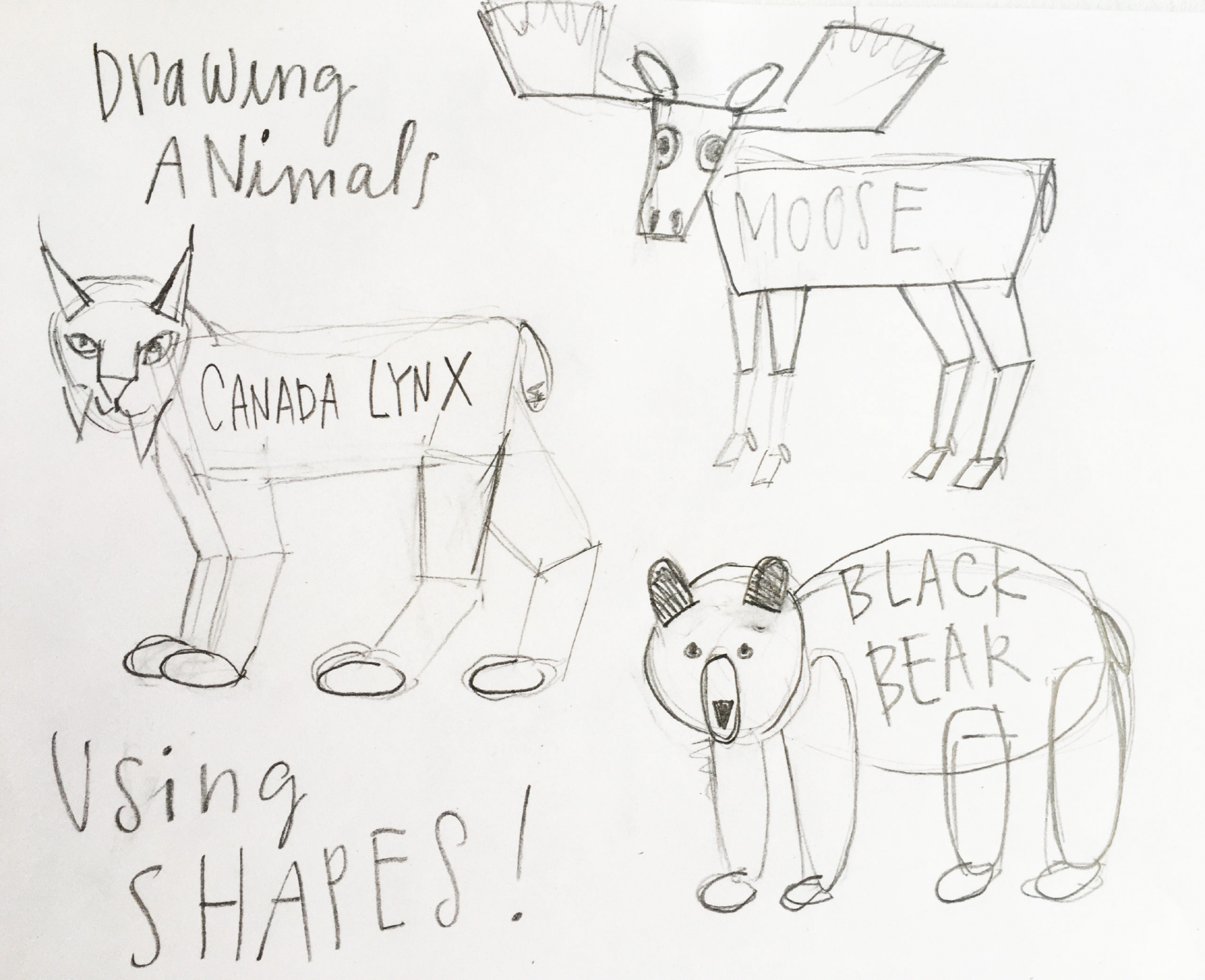 How to Draw an Animal Using Shapes - Side x Side  Awakening