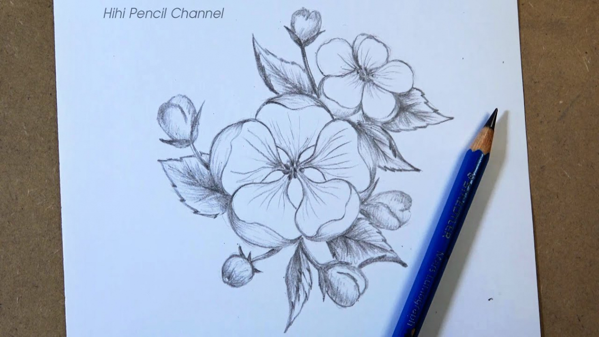 How to draw flowers step by step  Pencil Drawing