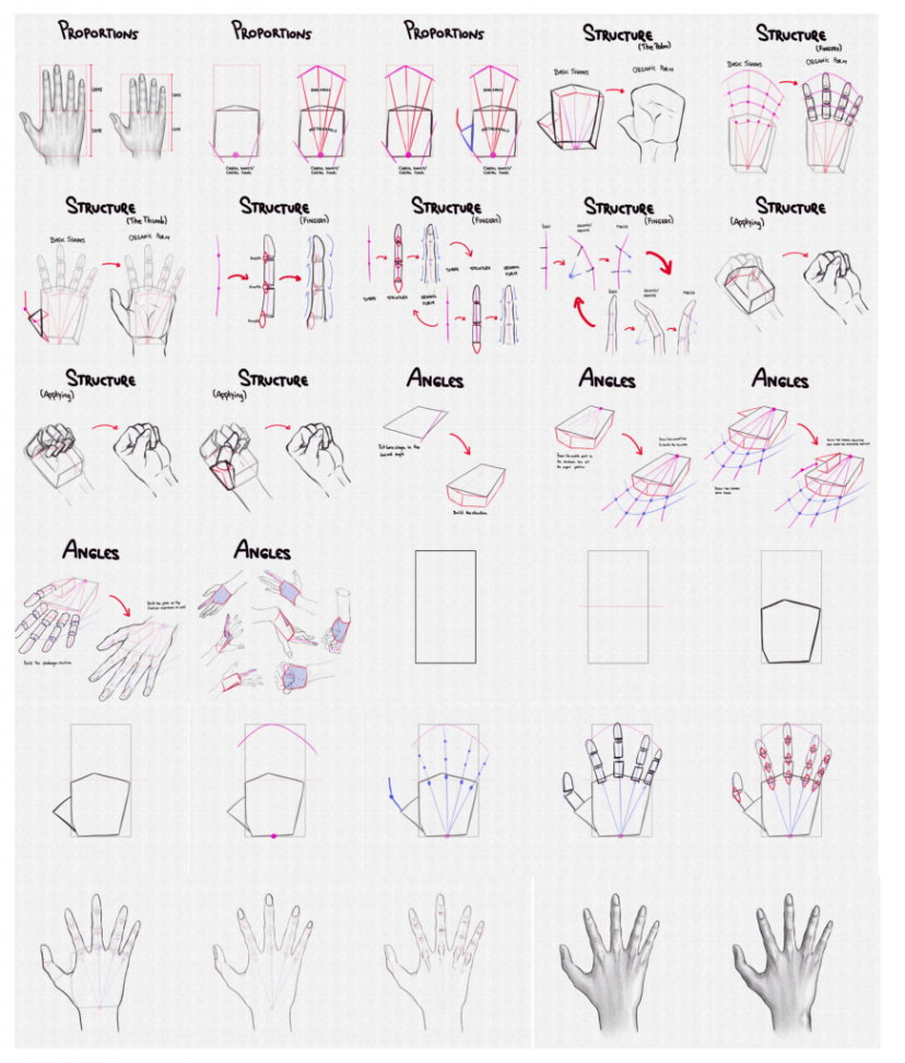 How to Draw Hands – A Step by Step Tutorial – Artlex