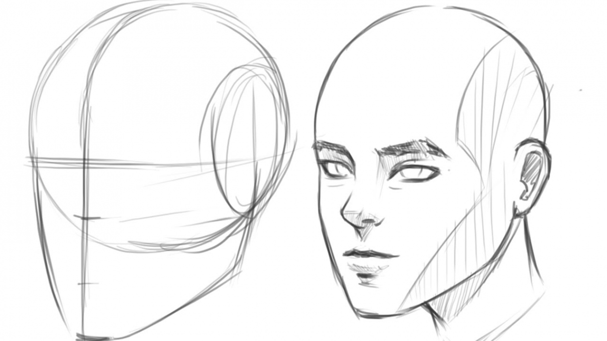 How to Draw Human Head / View