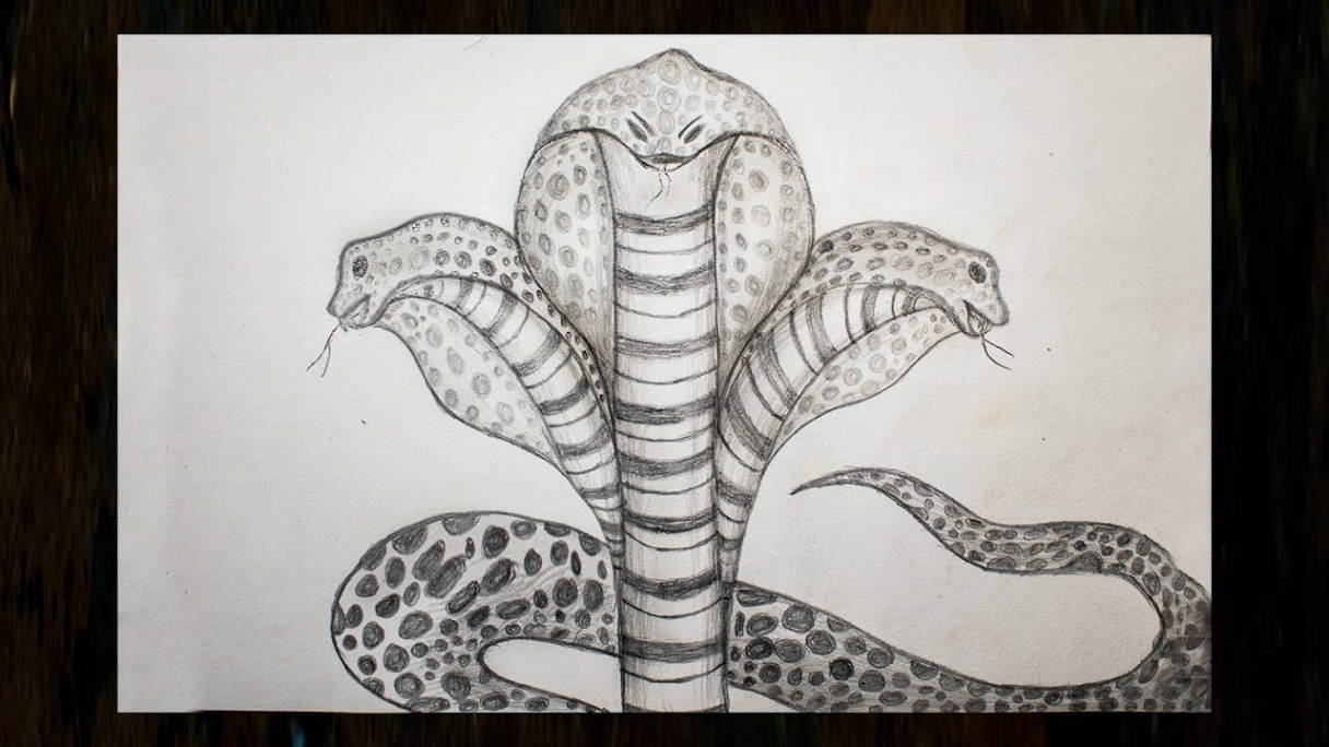 How to Draw Manasa Devi Easily  How to Draw Snake  How to Draw  heads  snake Drawing  Nagalakshmi