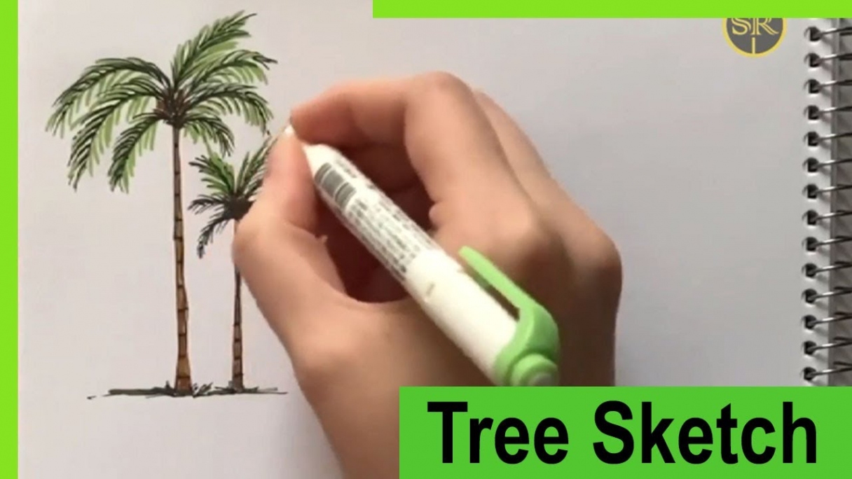 How to Draw Palm Tree Sketch  Render with Marker  Step by Step Tutorial   اسکیس و راندو درخت نخل