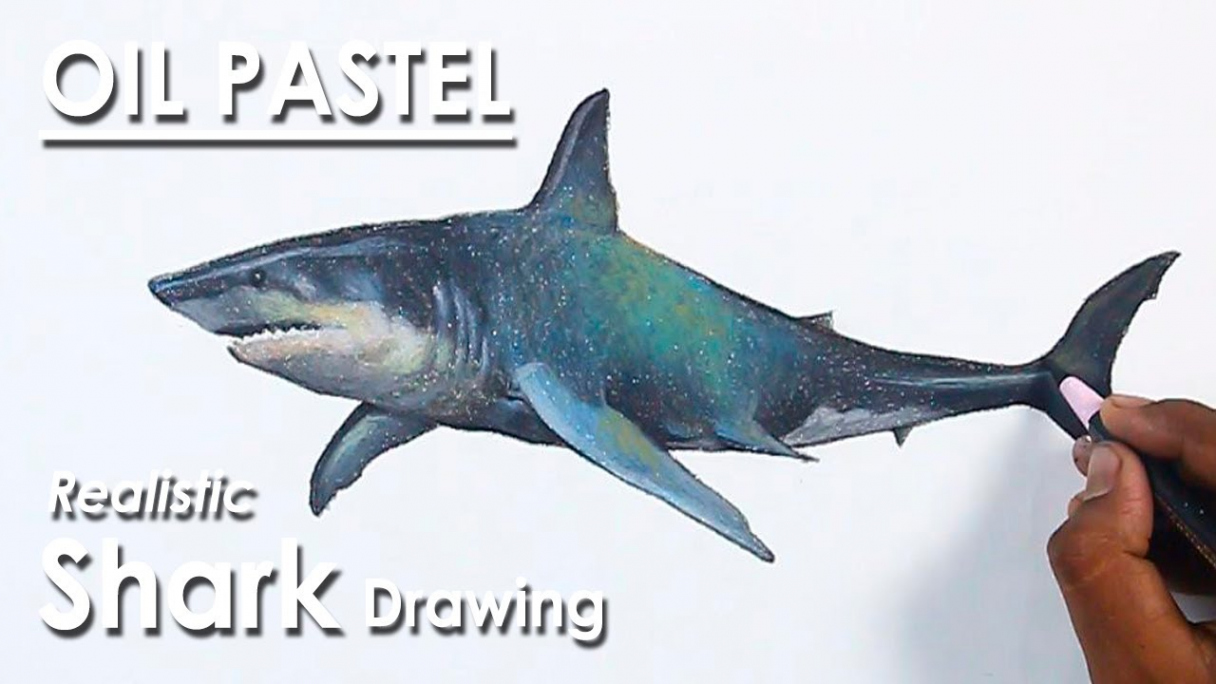 How to Draw Realistic Shark in Oil Pastel  step by step  Supriyo