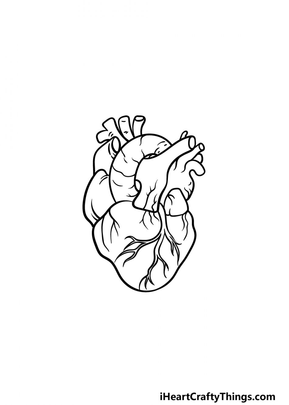 Human Heart Drawing - How To Draw A Human Heart Step By Step