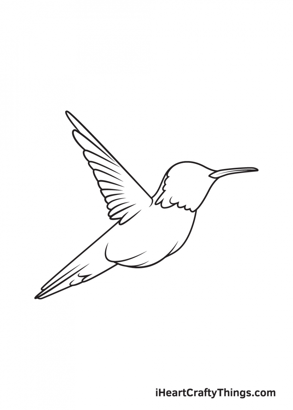 Hummingbird Drawing — How To Draw A Hummingbird Step By Step