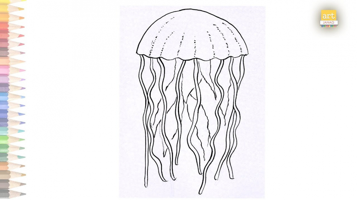 Jellyfish drawing easy  How to draw A Jellyfish step by step