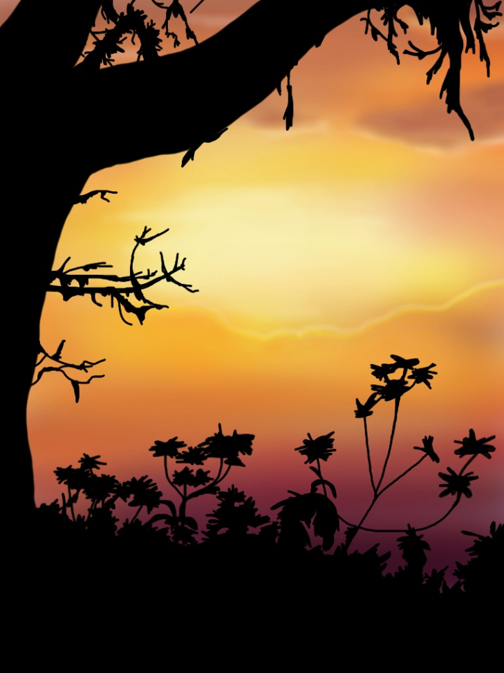 Jungle Sunset by icjaker on DeviantArt