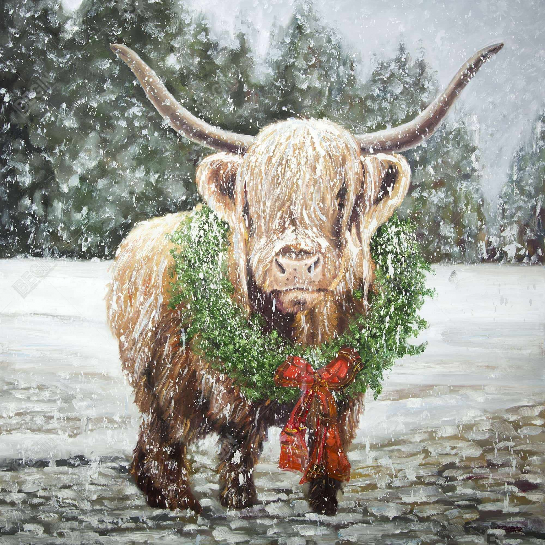 Kauf Highland Christmas Cow  Kunstdruck auf Leinwand  „x " im