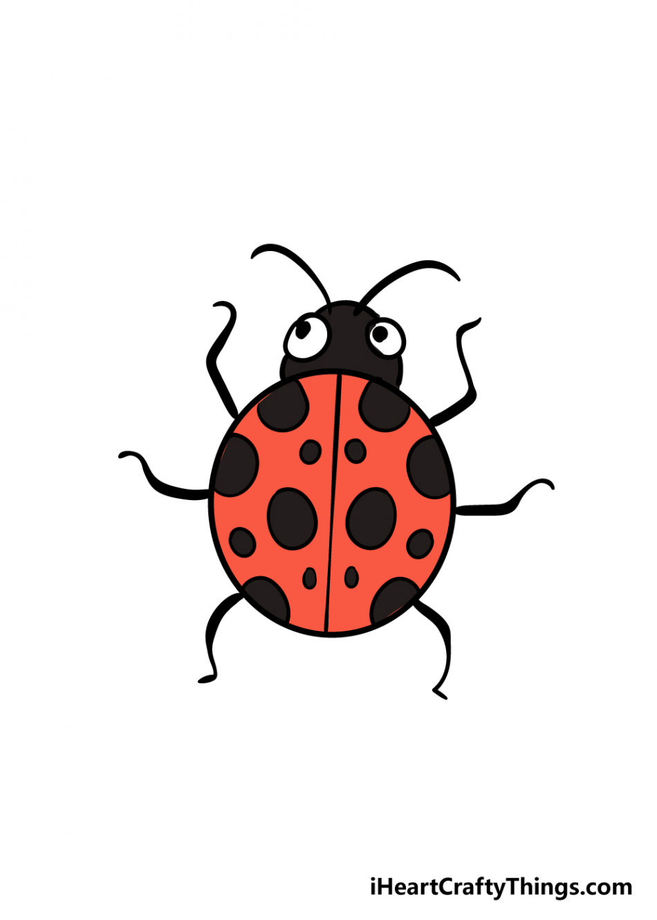 Ladybug Drawing - How To Draw A Ladybug Step By Step