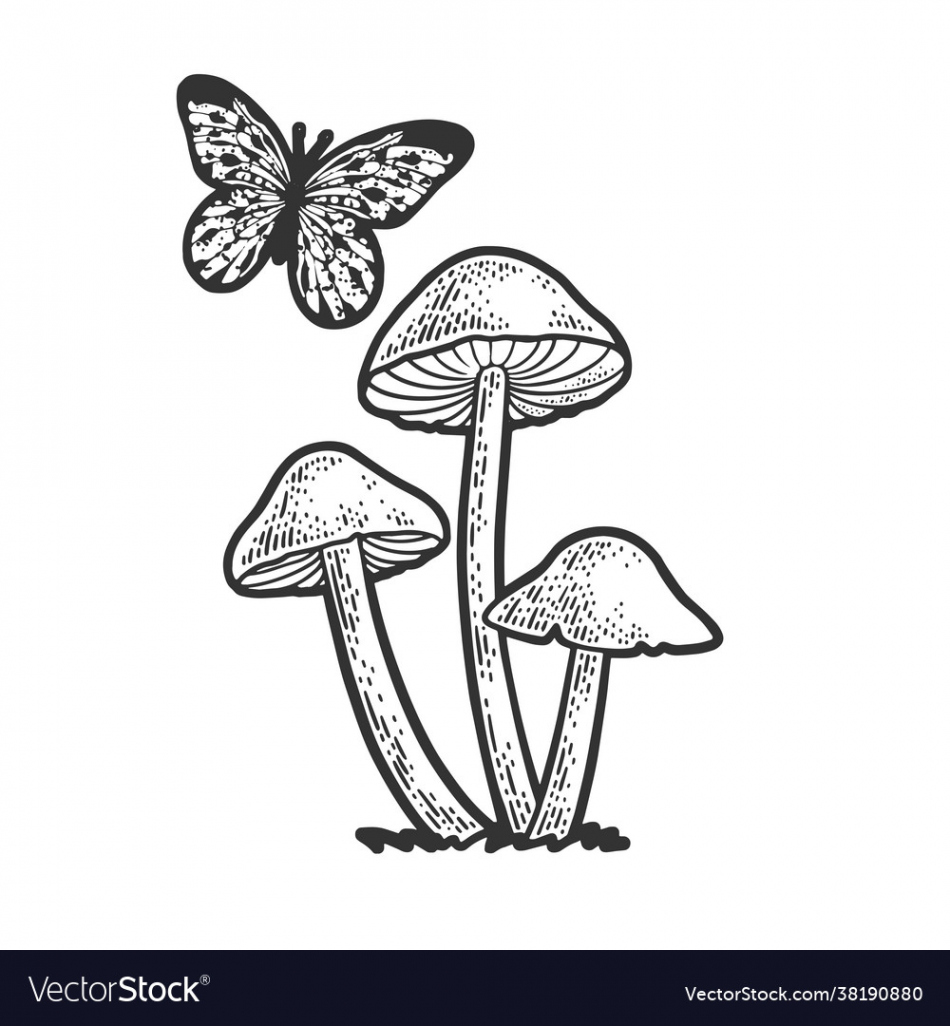 Mushrooms and butterfly line art sketch Royalty Free Vector