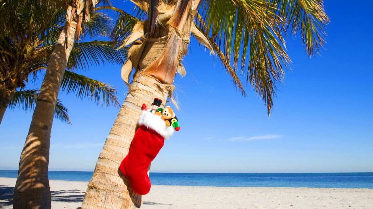 Natal no Brasil, Christmas in Brazil  Florida christmas, Beach