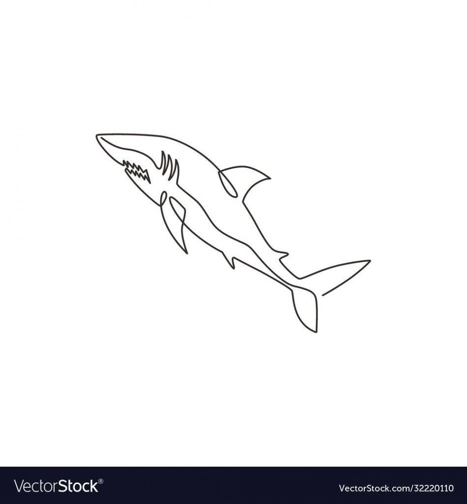 One continuous line drawing shark sea fish Vector Image