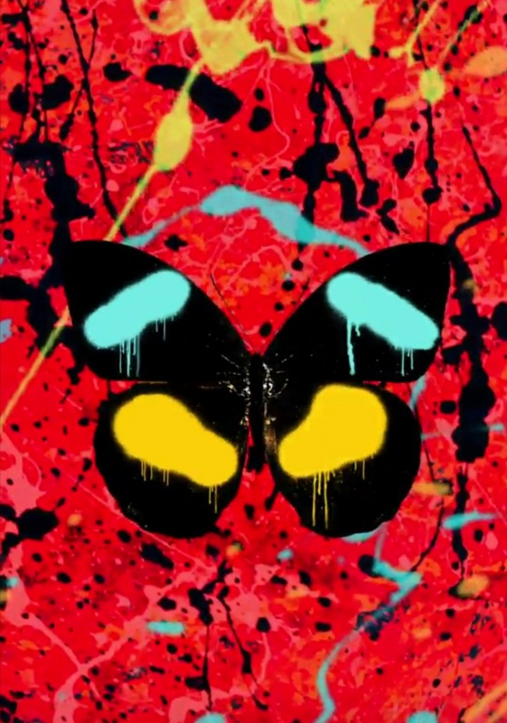 Overpass Graffiti butterfly  Ed sheeran, Graffiti, Music covers