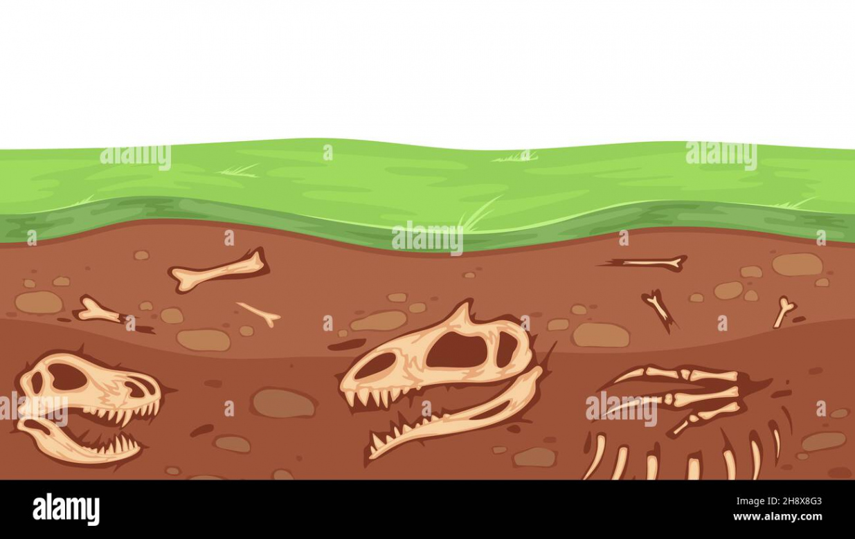 Paleontology bones