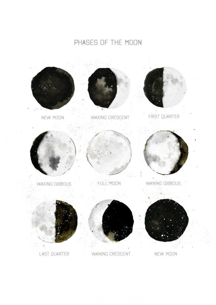 Phases of the Moon Art Print — Drawn Together Art Collective - Art