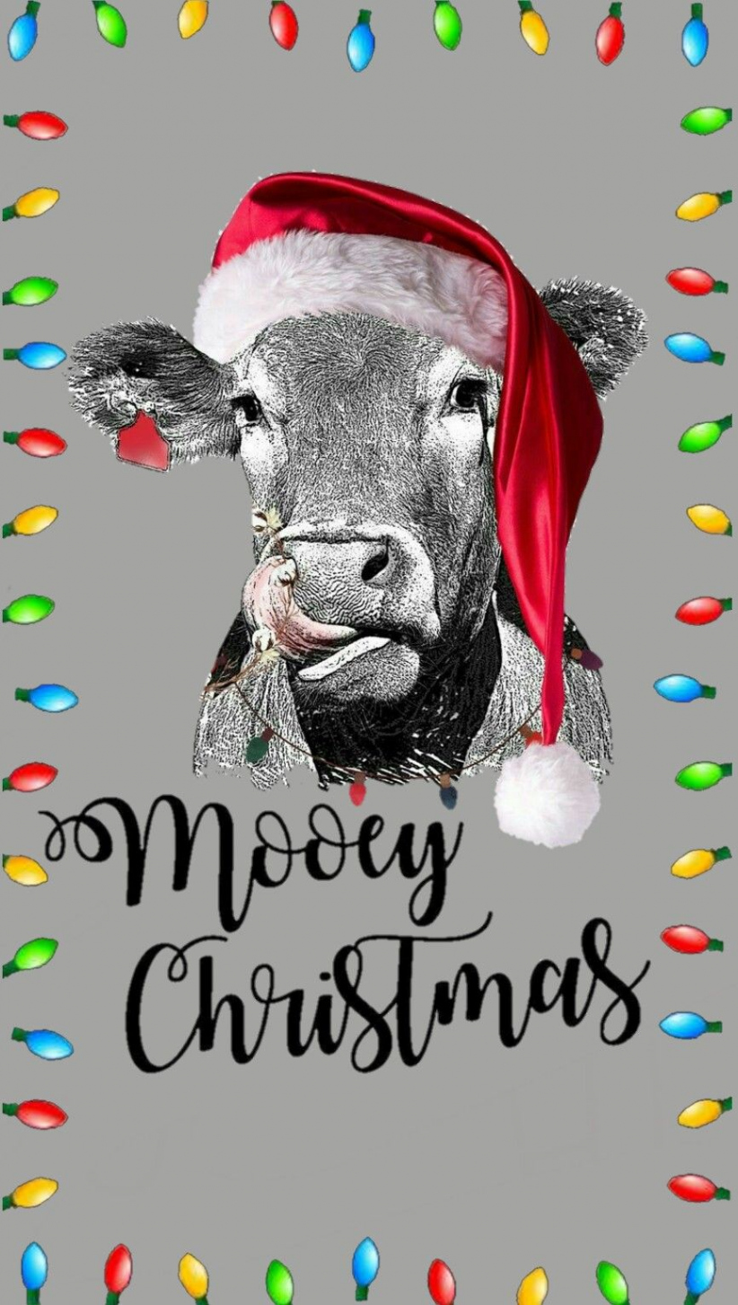 Pin by Kristin Kenney on Christmas  Christmas farm, Cow pictures