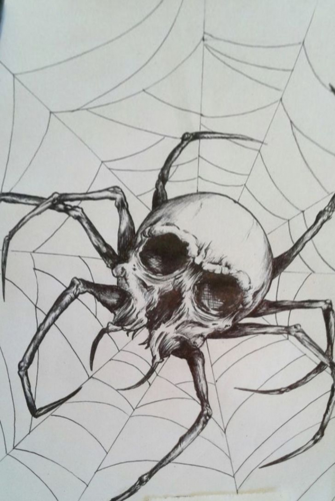 Pin by Weißer Hai on Spider web  Spider drawing, Spider