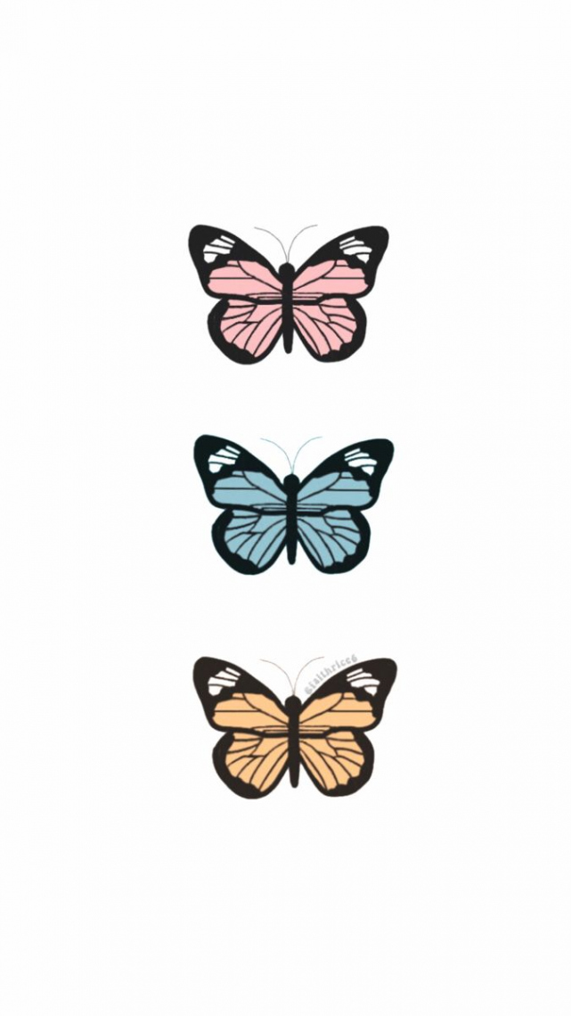 pinterest @faithrice💫  Butterfly drawing, Cartoon butterfly